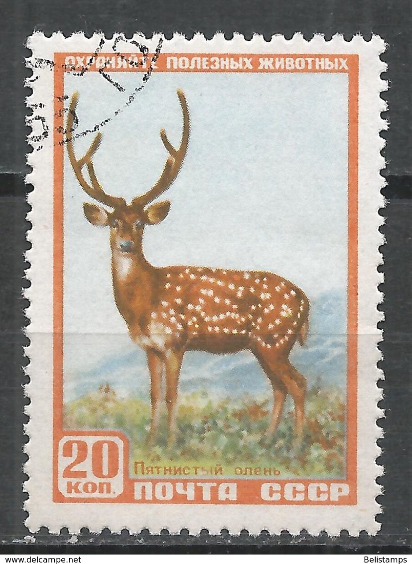 Russia 1957. Scott #1919 (U) Fauna, Axis Deer - Oblitérés