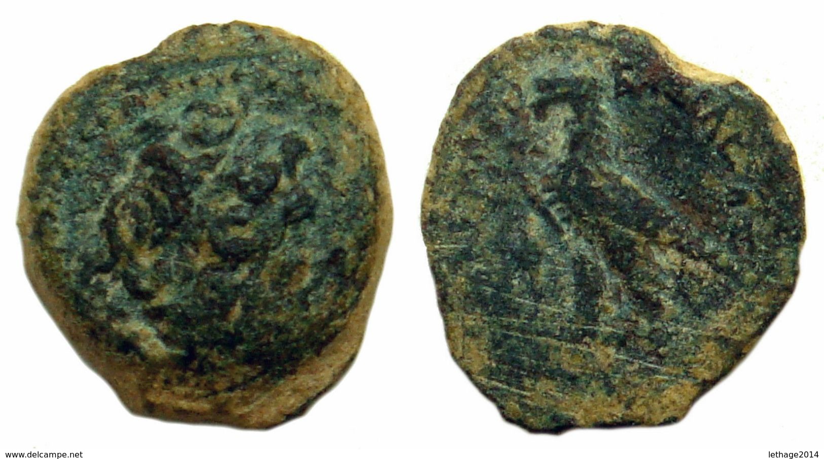 Coin PTOLEMY II TOLOMEO II FILADELFO Philometor Alexandria  285 A.C.-246 A.C.Egypt Israel Lebanon Jordan Palestine Libya - Orientales