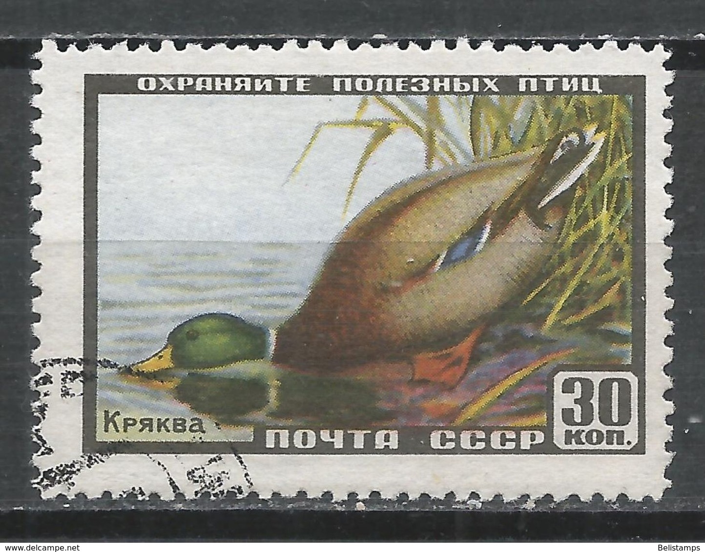 Russia 1957. Scott #1921 (U) Fauna, Mallard, Duck - Oblitérés