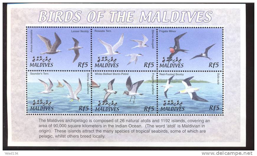 MALDIVES     2624  MINT NEVER HINGED MINI SHEET OF BIRDS   #   M-637-1  ( - Altri & Non Classificati
