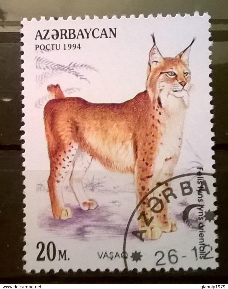 FRANCOBOLLI STAMPS AZERBAIJAN 1994 SERIE FELINI - Azerbaijan