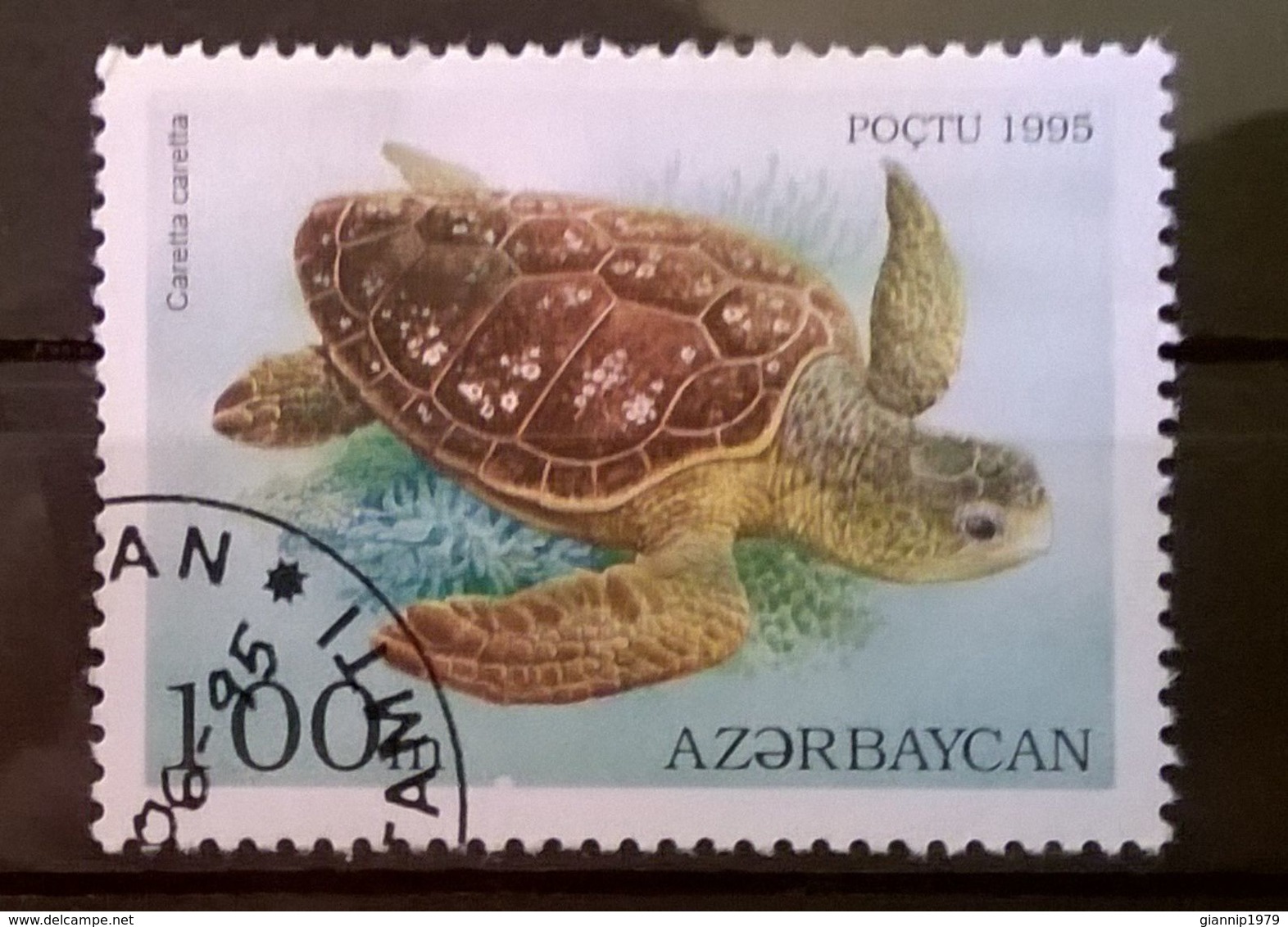 FRANCOBOLLI STAMPS AZERBAIJAN 1995 SERIE TESTUGGINI E TARTARUGHE - Azerbaïdjan