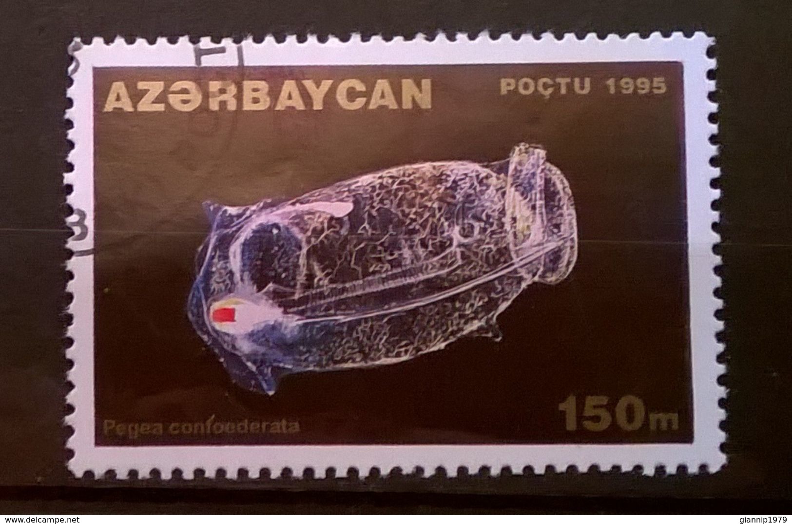 FRANCOBOLLI STAMPS AZERBAIJAN 1995 SERIE VITA SOTTOMARINA - Azerbaijan