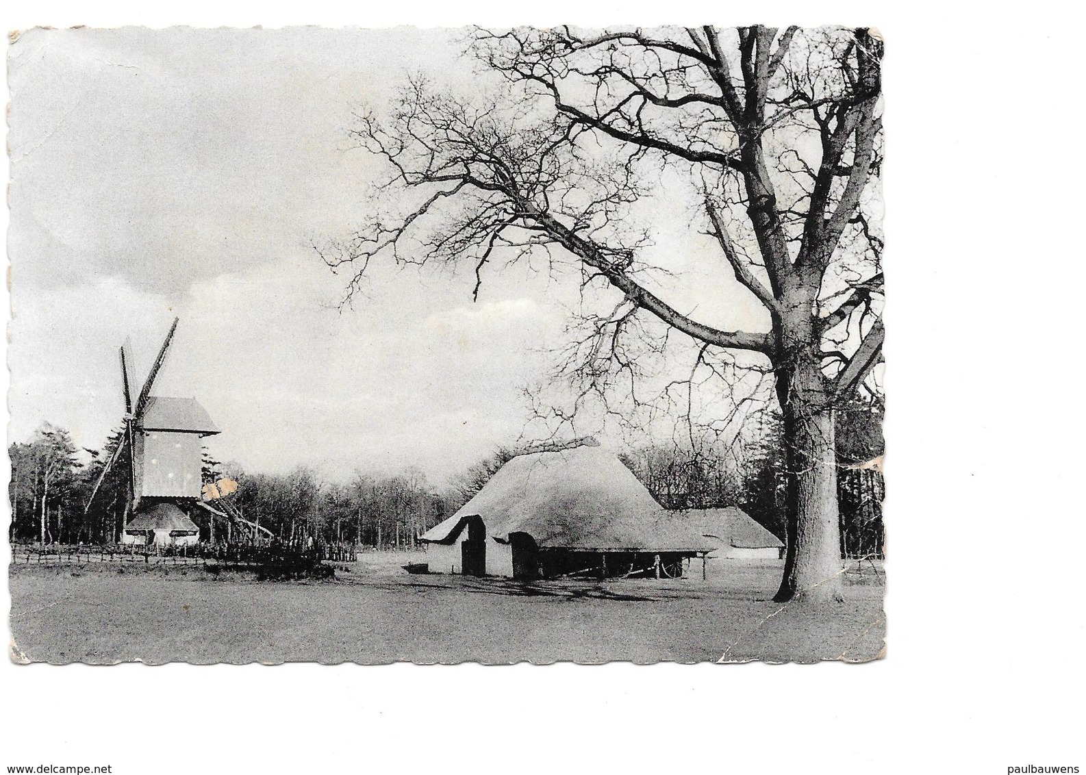 Bokrijk, Openluchtmuseum, Windmolen, Molen Met Schuren, Met Postzegel Achteraan. - Genk