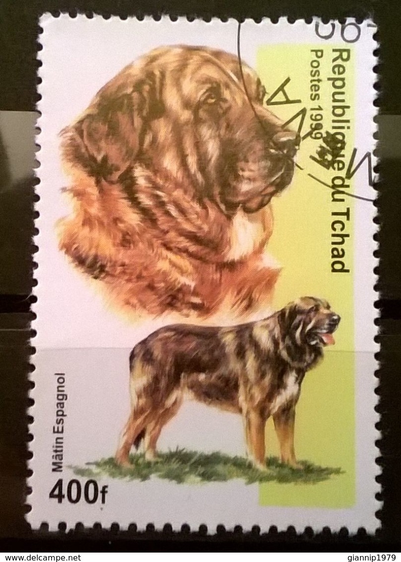 FRANCOBOLLI STAMPS CIAD TCHAD 1999 SERIE CANI - Ciad (1960-...)