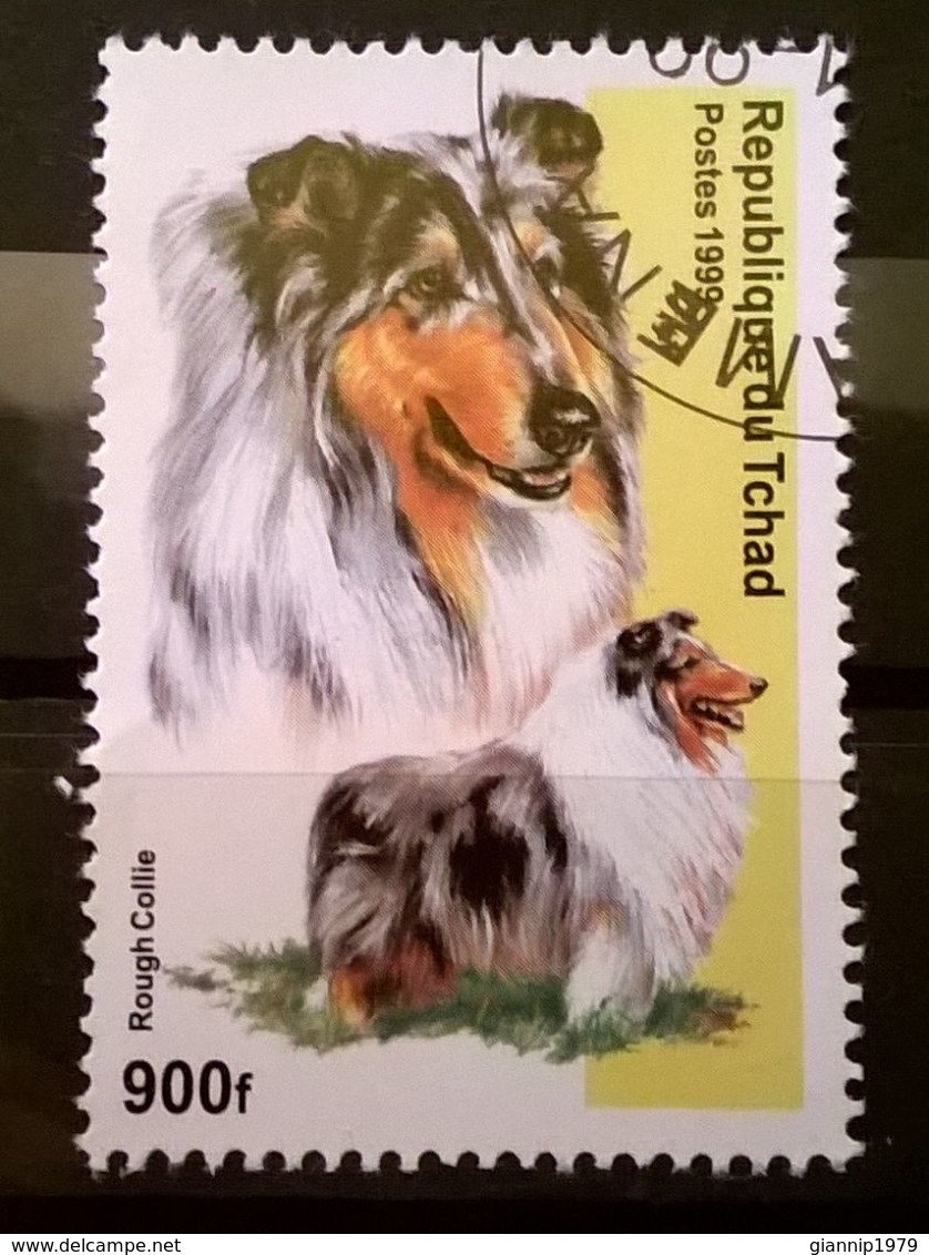 FRANCOBOLLI STAMPS CIAD TCHAD 1999 SERIE CANI - Ciad (1960-...)