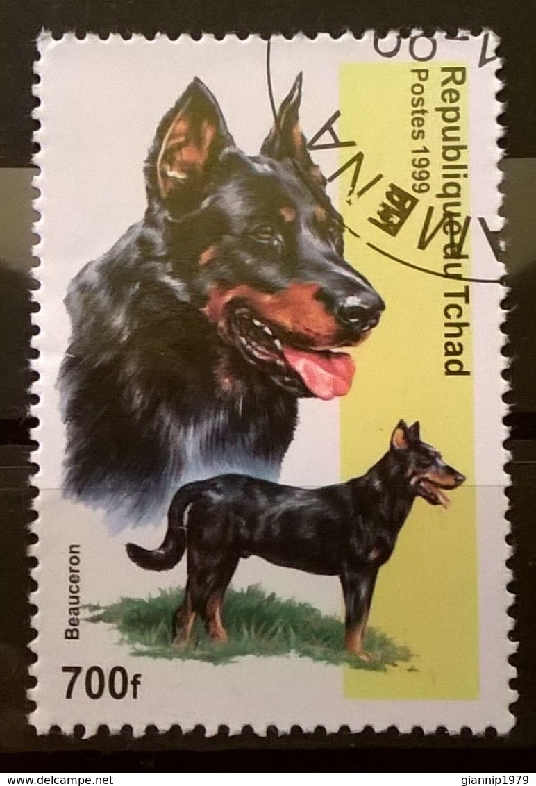 FRANCOBOLLI STAMPS CIAD TCHAD 1999 SERIE CANI - Ciad (1960-...)