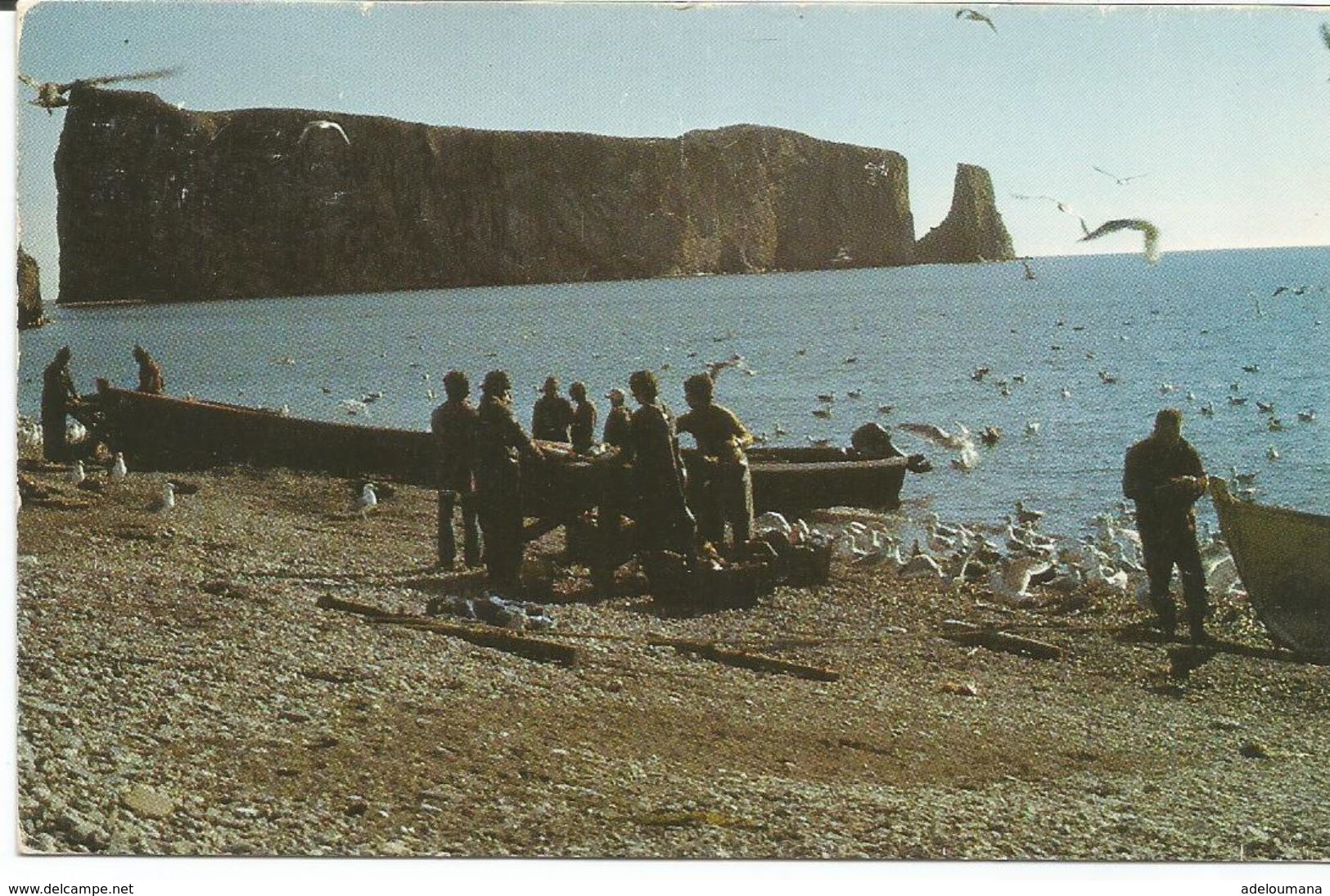 GASPESIE  -  PERCE, QUE  - - Percé