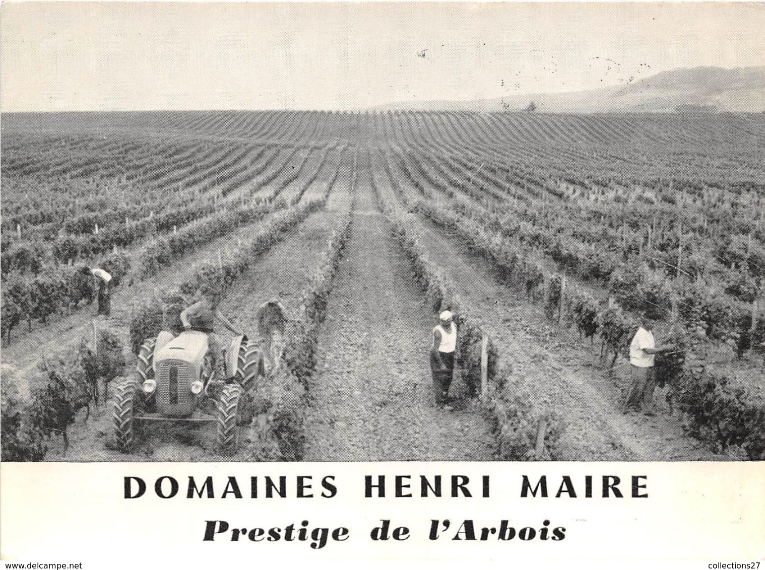 39-ARBOIS- DOMAINE HENRI MAIRE PRESTIGE DE L'ARBOIS - Arbois