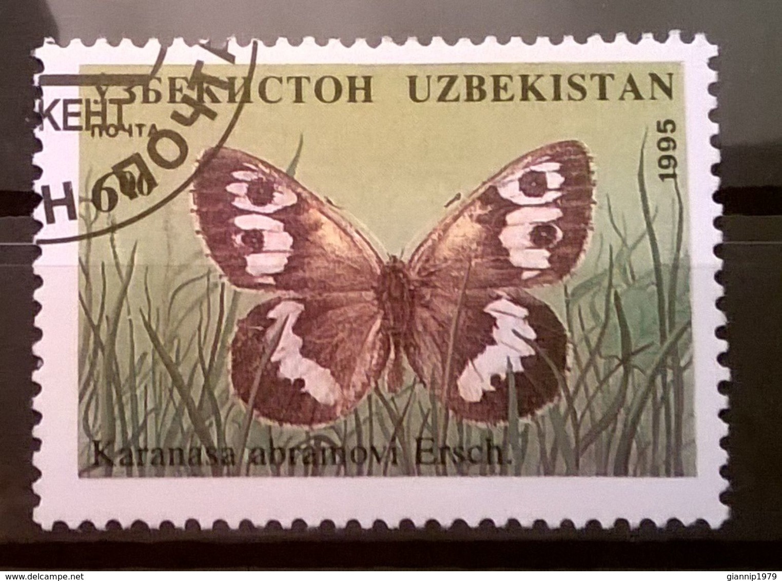 FRANCOBOLLI STAMPS UZBEKISTAN 1995 SERIE FARFALLE NOTTURNE - Uzbekistan