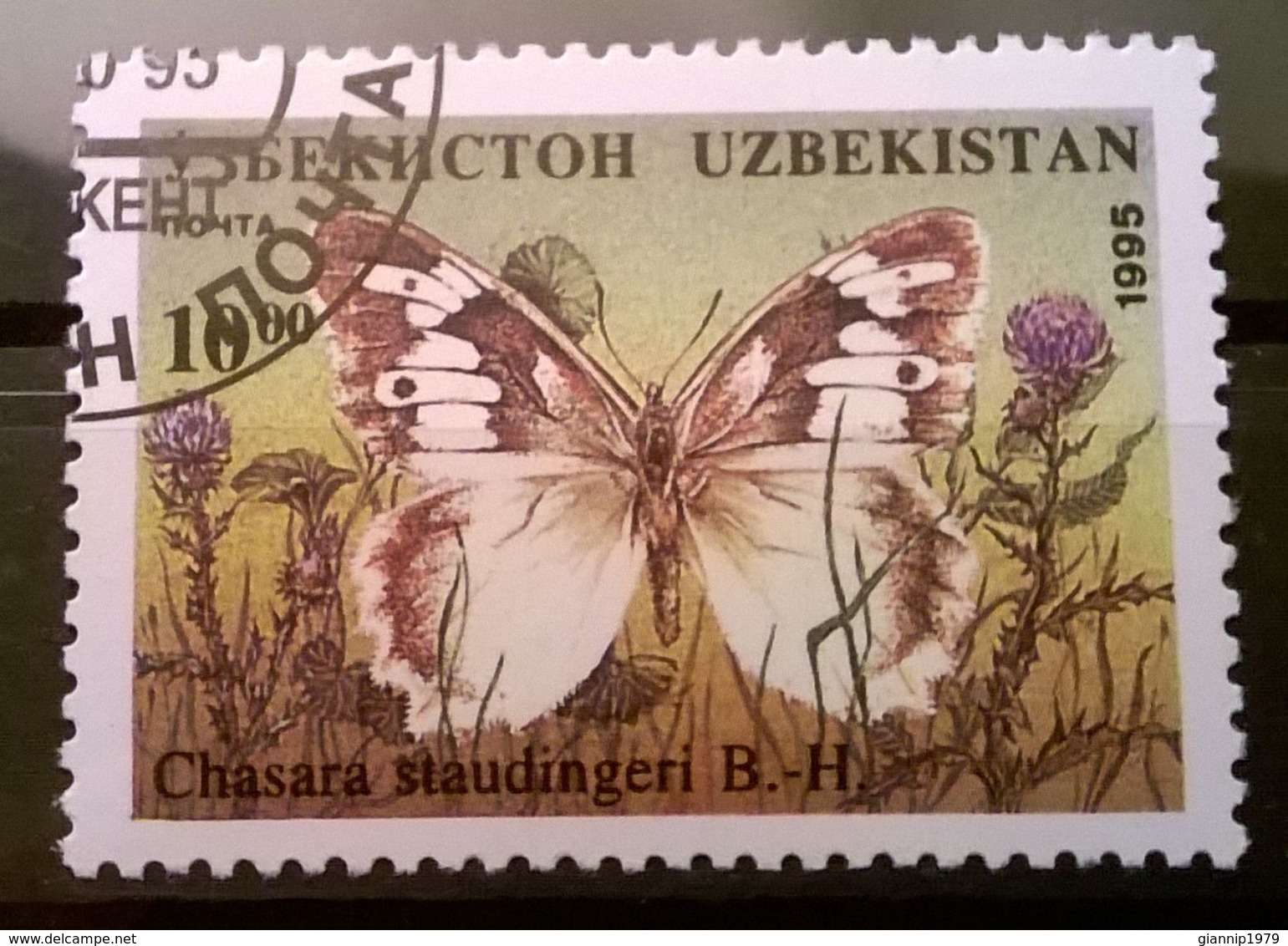 FRANCOBOLLI STAMPS UZBEKISTAN 1995 SERIE FARFALLE NOTTURNE - Uzbekistan