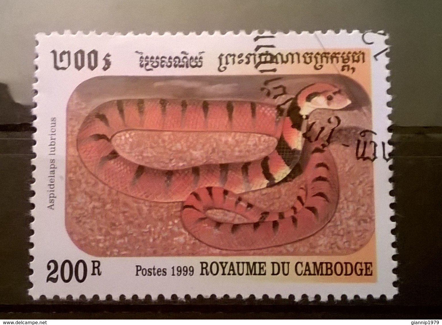 FRANCOBOLLI STAMPS CAMBOGIA CAMBODGE 1999 SERIE SERPENTI - Cambogia