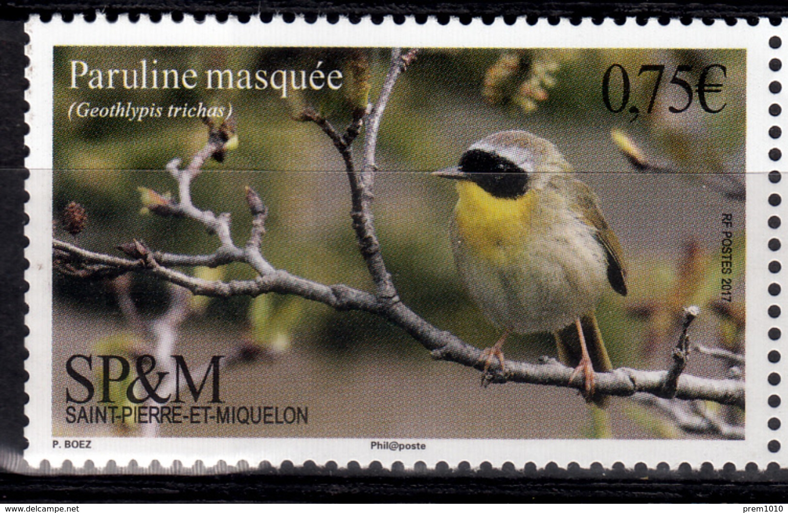 - 2017- BIRDS-  SAINT PIERRE Et MIQUELON-Common Yellowthroat- MNH Stamp - Autres - Océanie