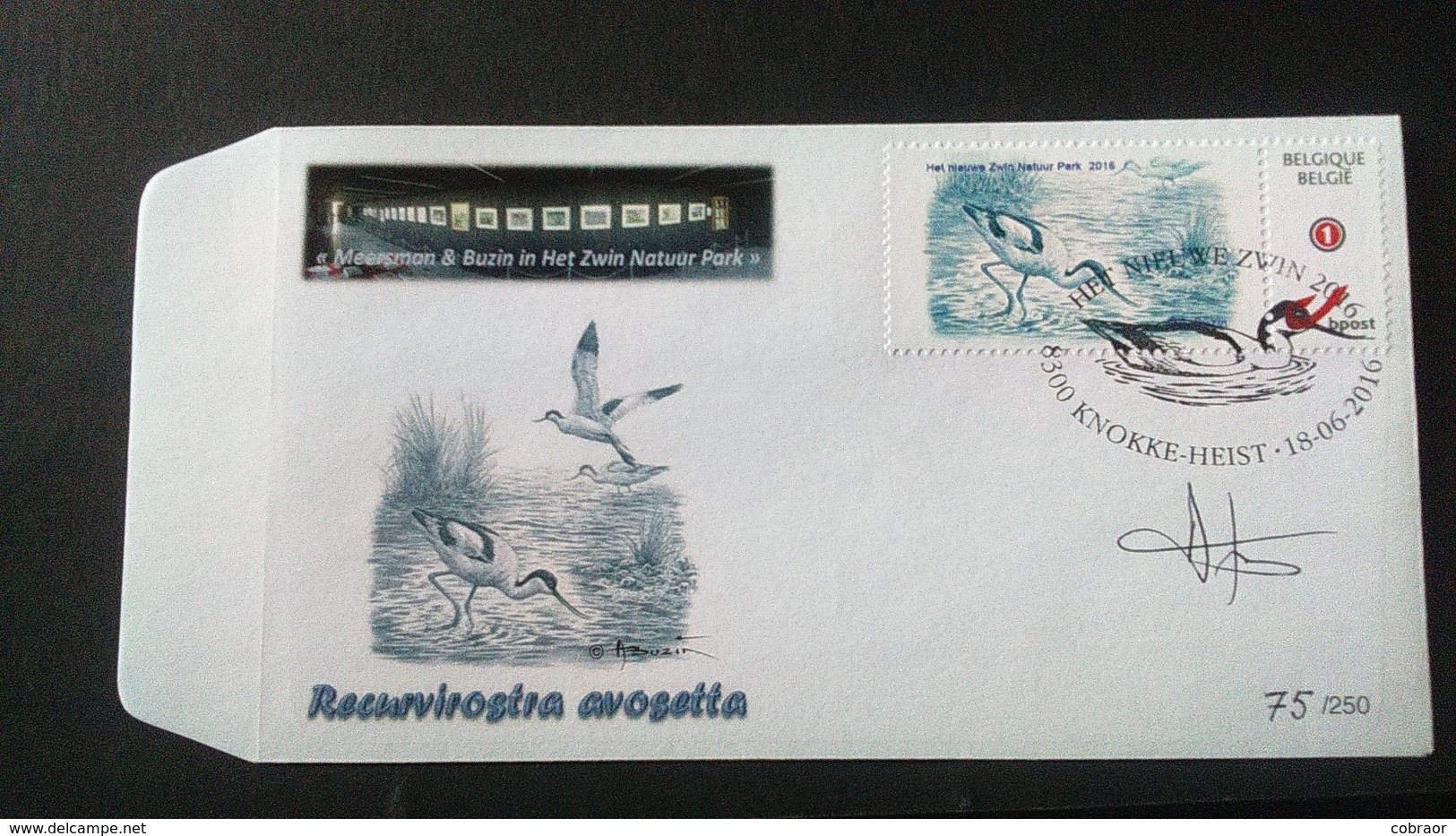 Buzin: Fdc " HET NIEUWE ZWIN Avocette " Tirage 250 Ex (75/250) - 2011-2014