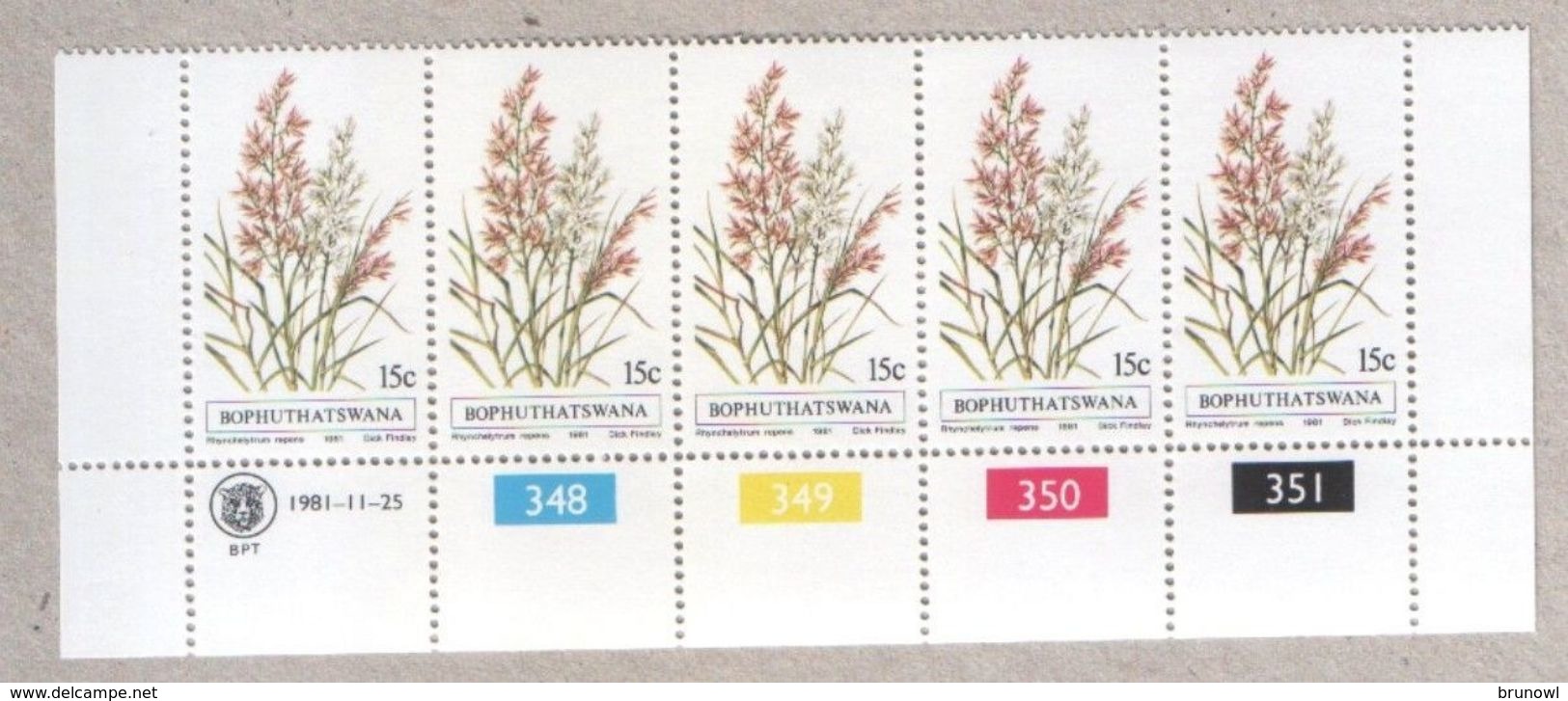 Bophuthatswana Blocks Of MNH Stamps 1981 Grasses - Bophuthatswana