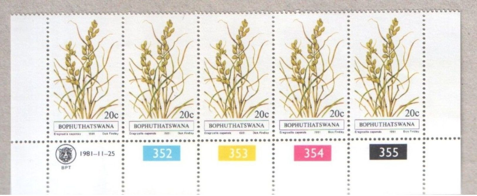 Bophuthatswana Blocks Of MNH Stamps 1981 Grasses - Bophuthatswana