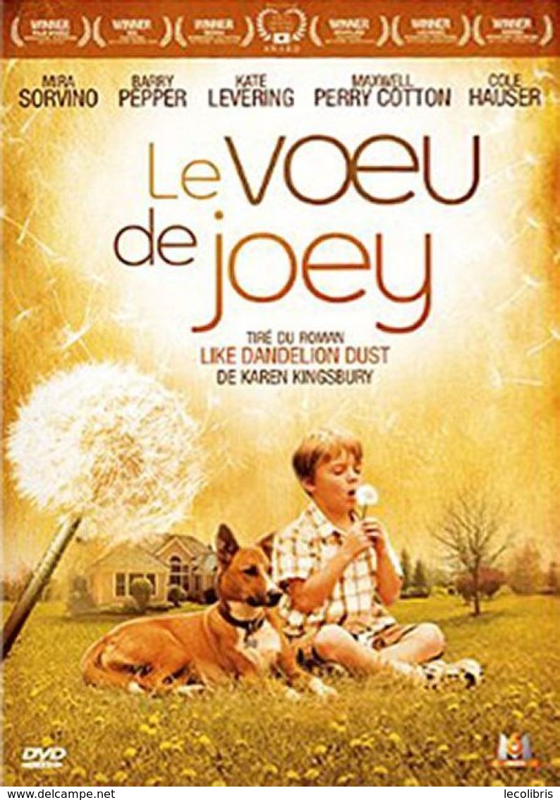 LE VOEU DE JOEY  °°°° MIRA SORVINO - Romantici