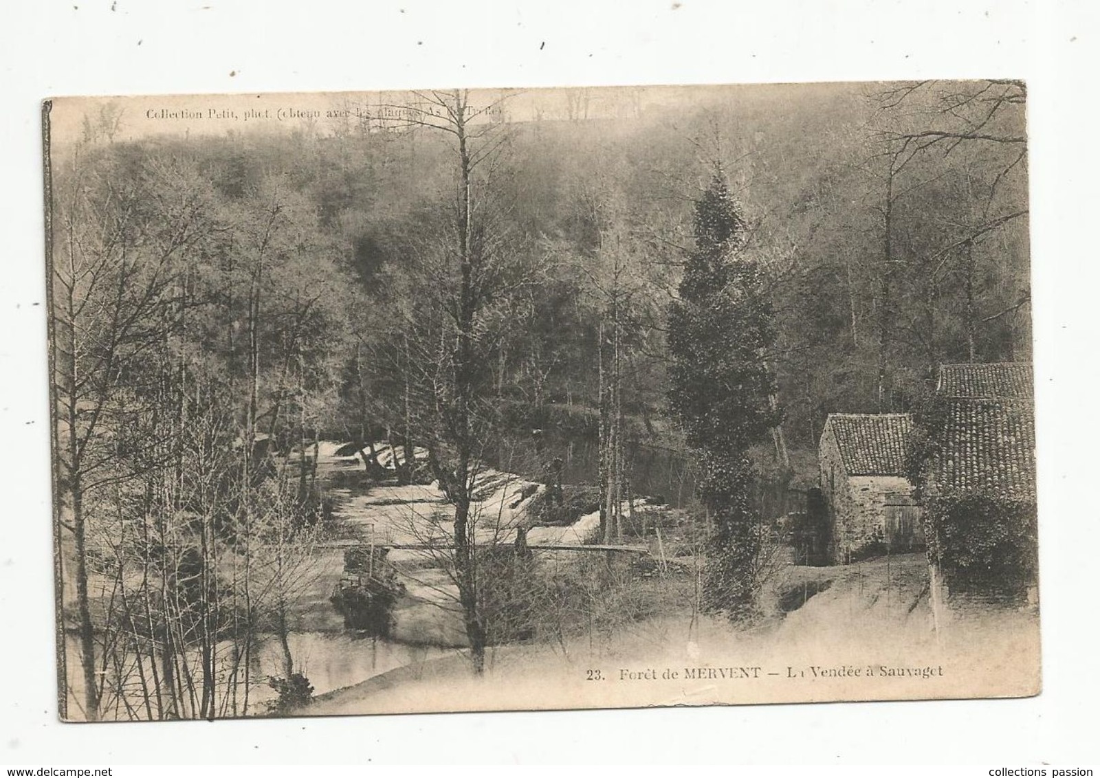 Cp, 85 , Forêt De MERVENT ,la Vendée à SAUVAGET , écrite - Sonstige & Ohne Zuordnung