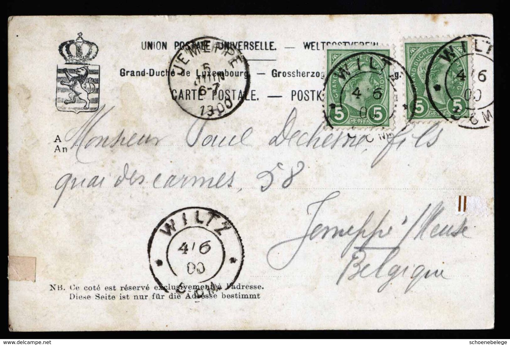 A5223) Luxemburg Karte Wiltz 4.6.1900 N. Belgien Jemeppe - 1895 Adolphe De Profil