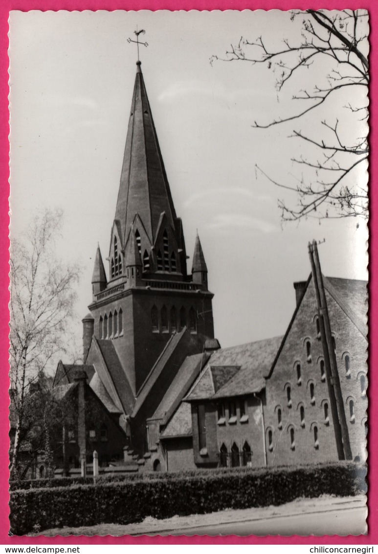 Beringen - St Theodarduskerk - VELGHE SAELENS - Beringen