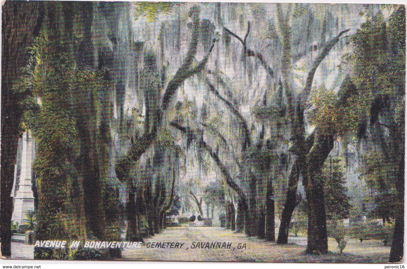 Belle CPA Savannah, GA, Avenue In Bonaventure Cemetery - Savannah