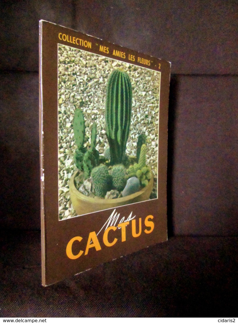 " Mes CACTUS " Cactées Cactacées Cactaceae Plante Horticulture Agriculture MAISON RUSTIQUE 1952 ! - Garten