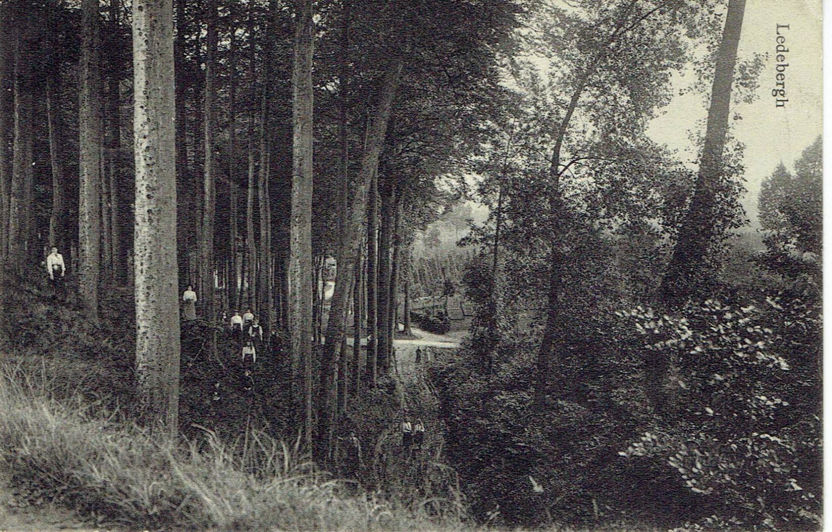 Pamel - Ledebergh - Promenade Sous Bois - Autres & Non Classés