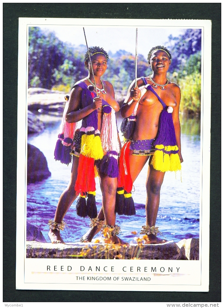 SWAZILAND  -  Reed Dance Ceremony  Used Postcard As Scans - Swaziland