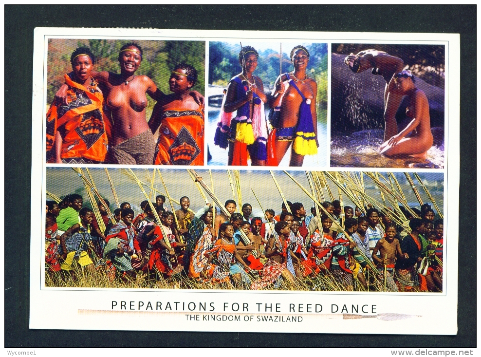 SWAZILAND  -  Preparations For The Reed Dance   Multi View  Used Postcard As Scans - Swaziland