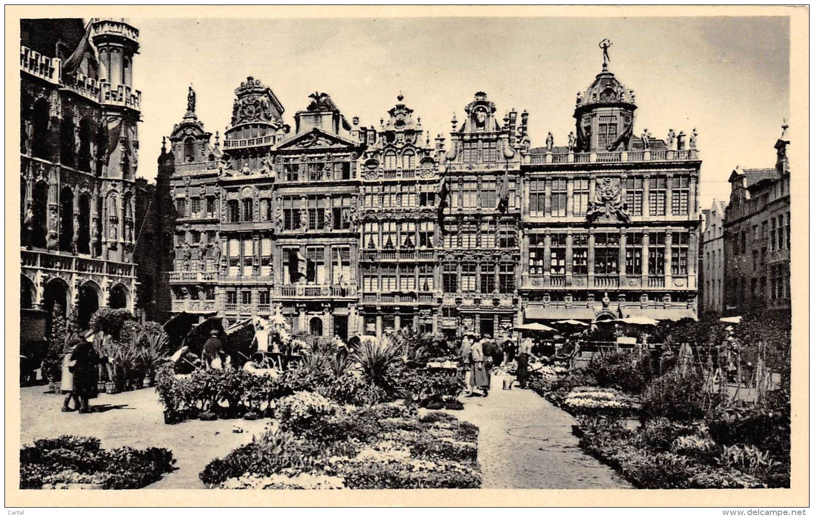 BRUXELLES - Grand'Place - Marché Aux Fleurs - Places, Squares