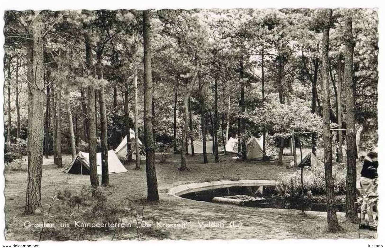 Velden - Landshut - Groeten Uit Kampeerterrein, De Krosselt - Camping - Germany ( 2 Scans ) - Landshut