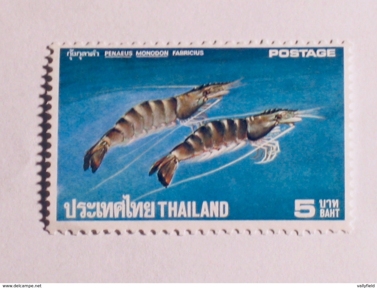 THAÏLANDE 1975   LOT# 23  SHRIMP - Tailandia