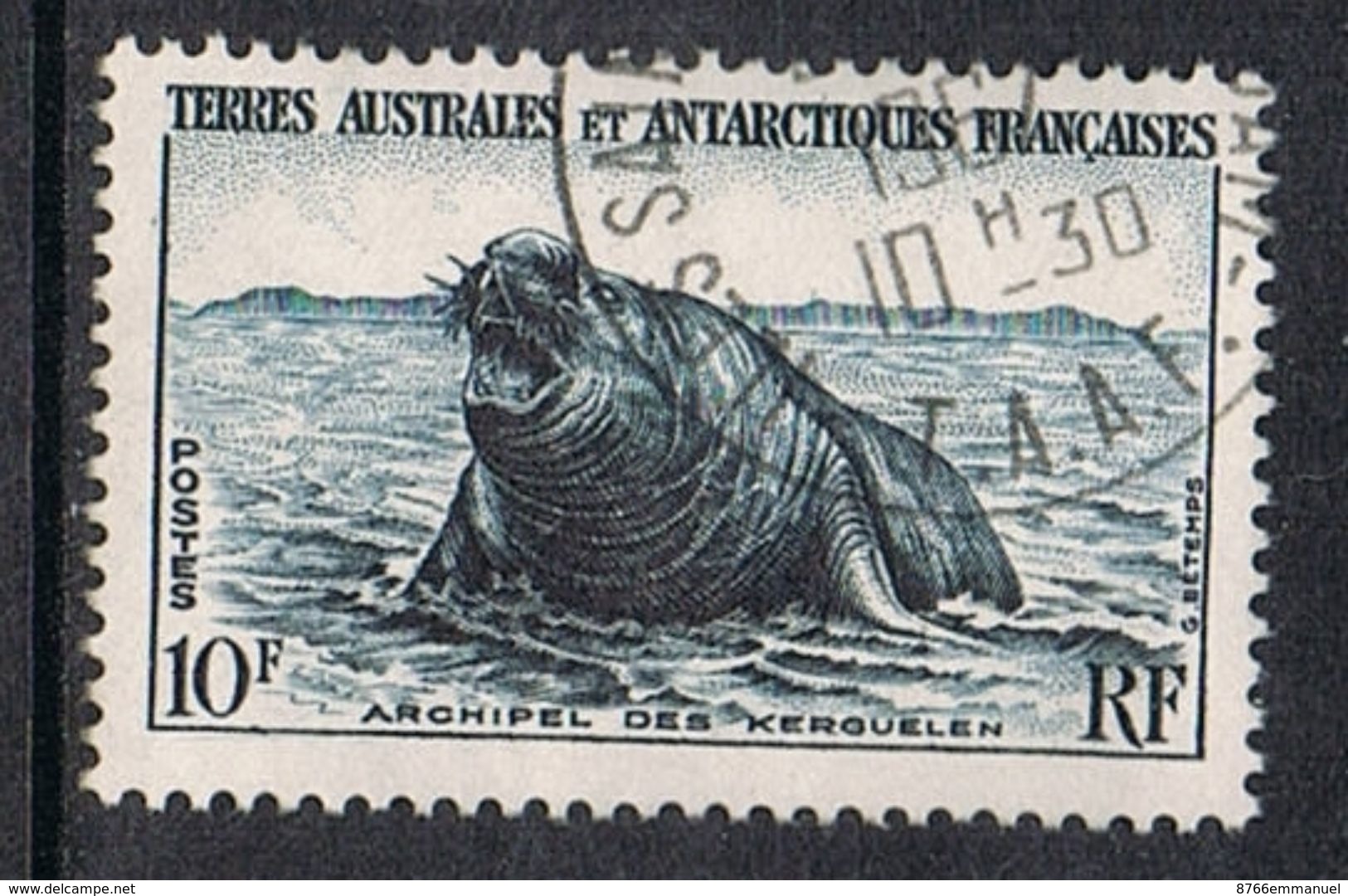 T.A.A.F. N°6  éléphant De Mer - Used Stamps