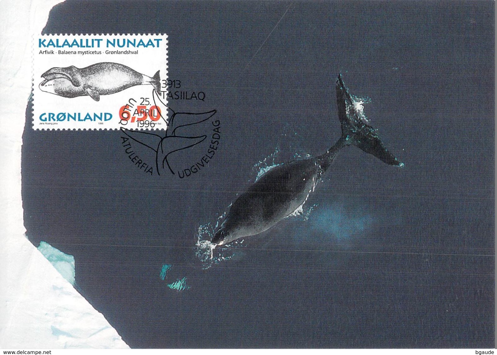 GROENLAND CARTE MAXIMUM  NUM.Yvert 270 Mammifere Marin Baleine - Maximumkaarten