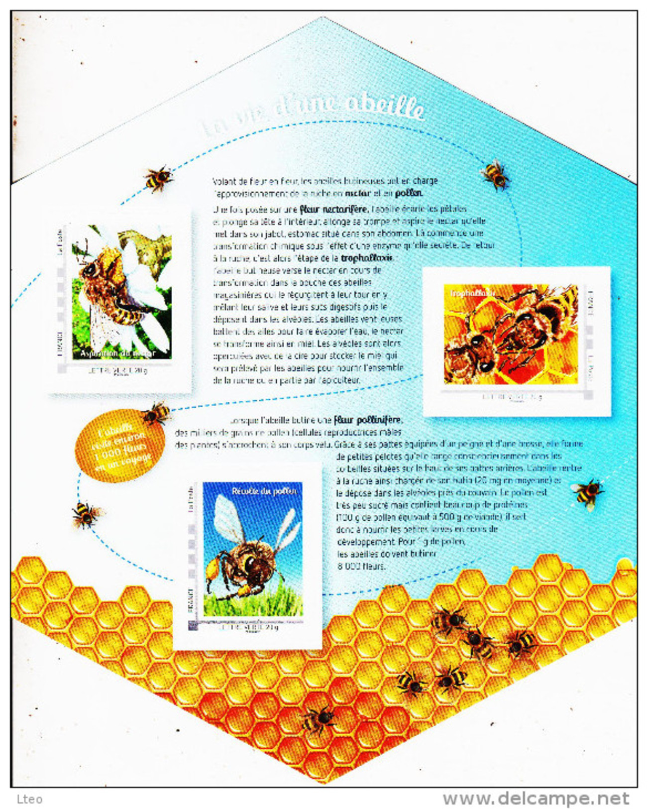 France 2014 Collector Les Abeilles, C'est La Vie ( Edition Limitée ) - Abeilles