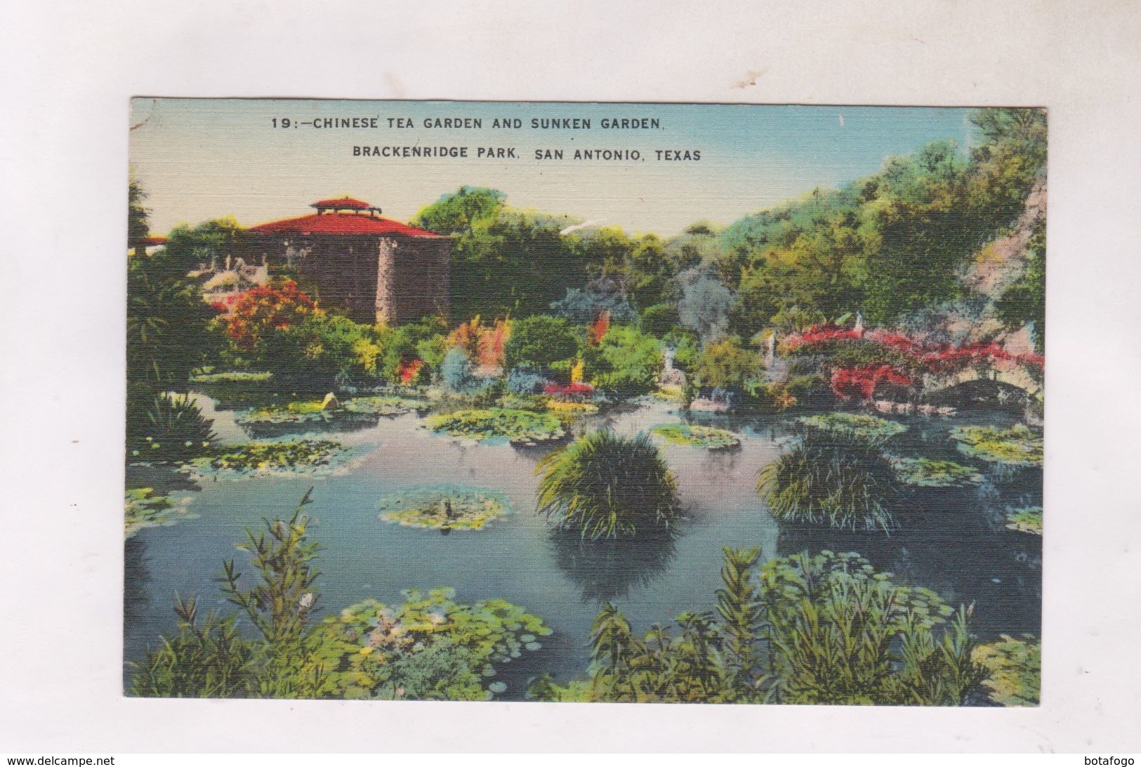 CPA SAN ANTONIO, CHINESE TEA GARDEN - San Antonio