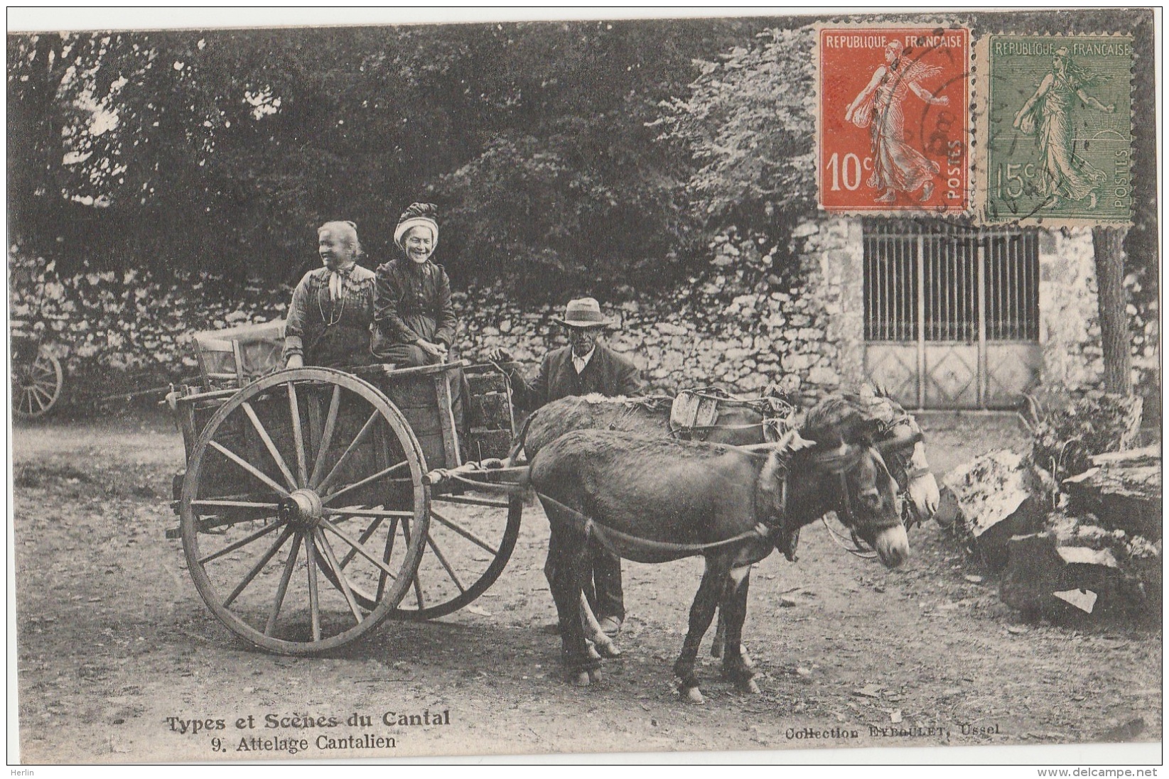 15 - CANTAL - Types Et Scènes Du Cantal - Attelage Cantalien - ânes - Autres & Non Classés