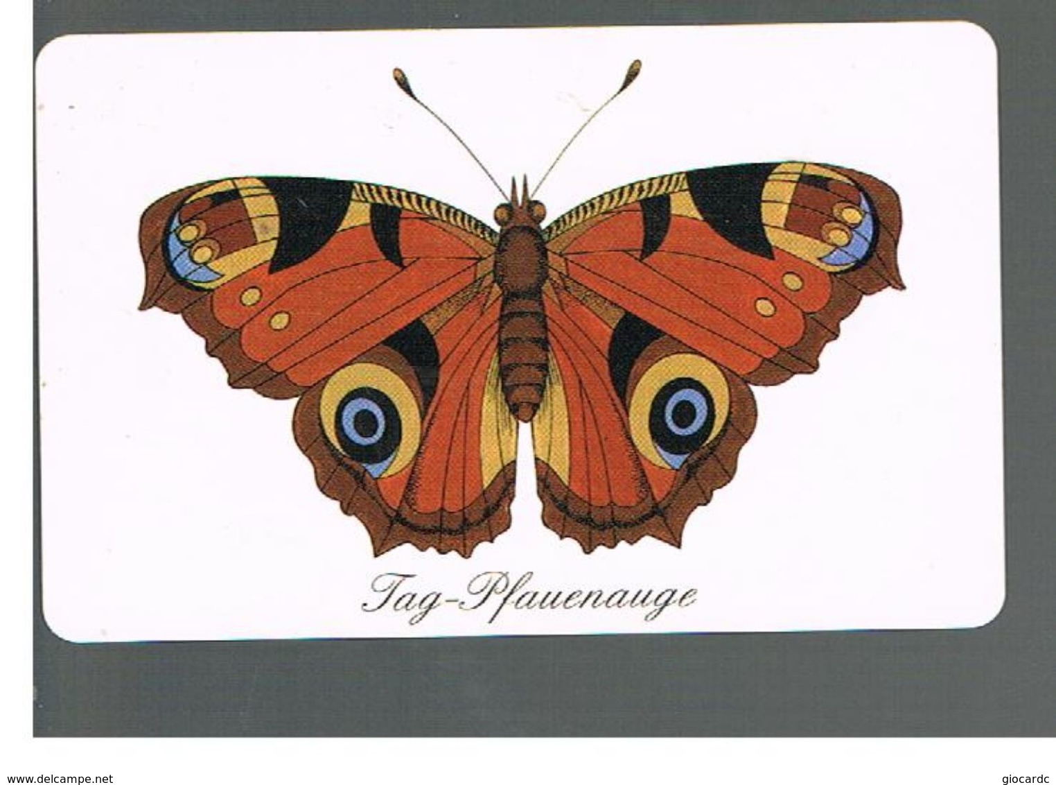 GERMANIA (GERMANY) -  1998 -  BUTTERFLIES   - RIF.   138 - Butterflies