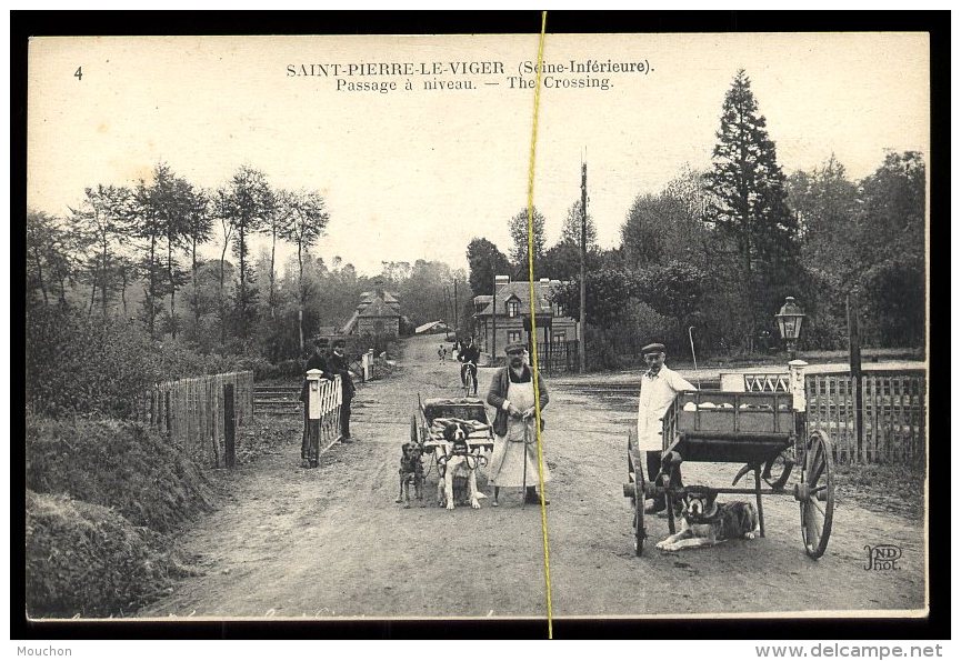 Saint Pierre Le Viger: Passage à Niveau,  (voitures à Chiens) - Autres & Non Classés