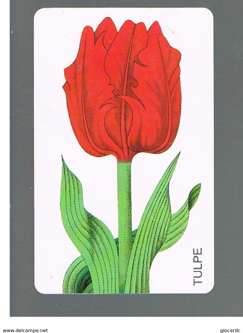 GERMANIA (GERMANY) -  1999 -  FLOWERS: TULIP   - RIF.   139 - Fleurs