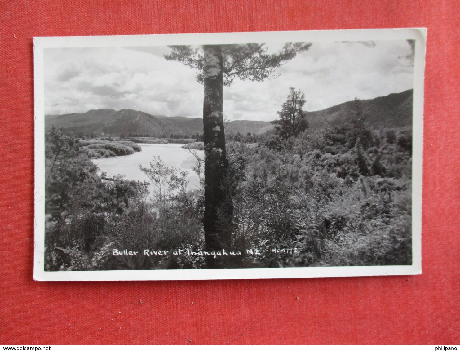 New Zealand  RPPC  Buller River     Ref  2880 - New Zealand