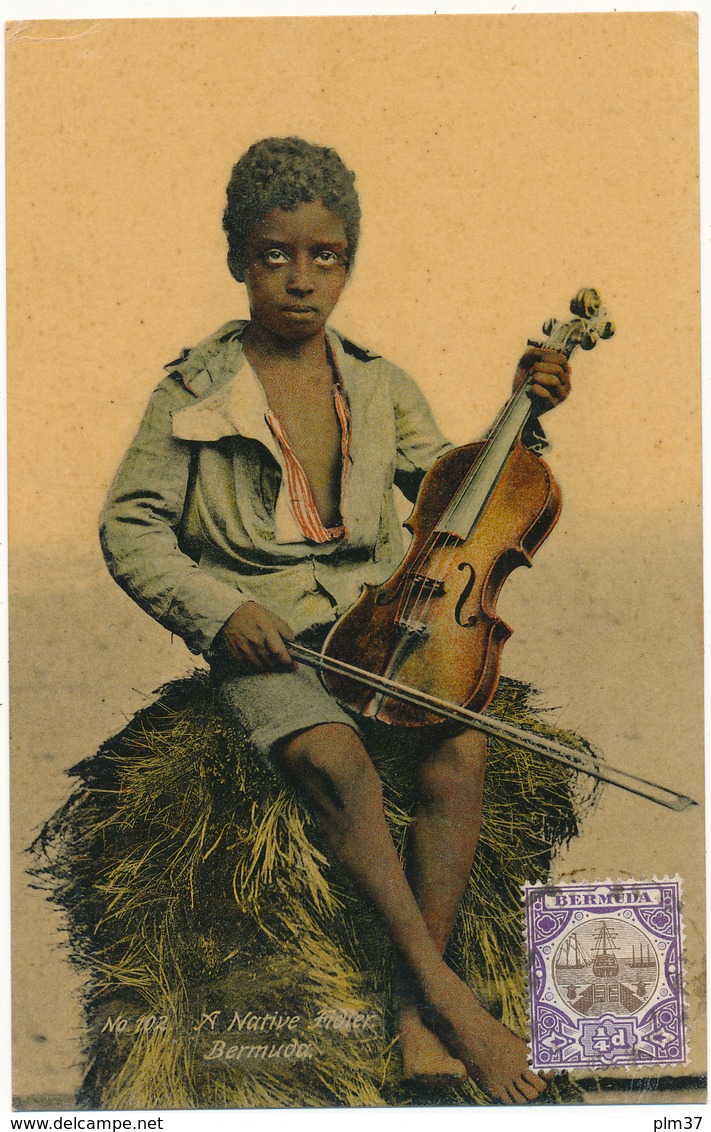 BERMUDA - A Native - Violon, Musique - Bermudes