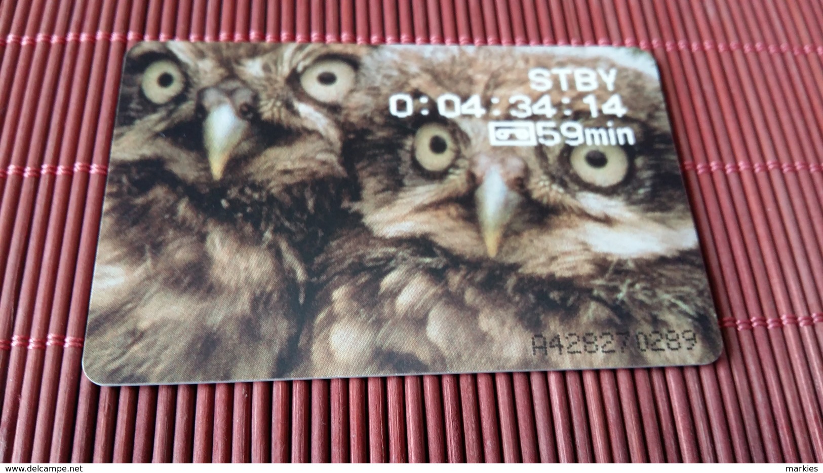 Phonecards Owl - Búhos, Lechuza