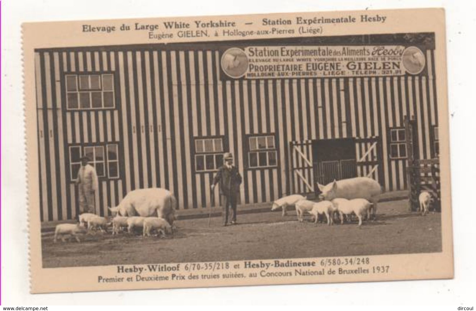 37630  -  Hollogne  Aux  Pierres  Station Hesby  élevage De  Porc - Grace-Hollogne