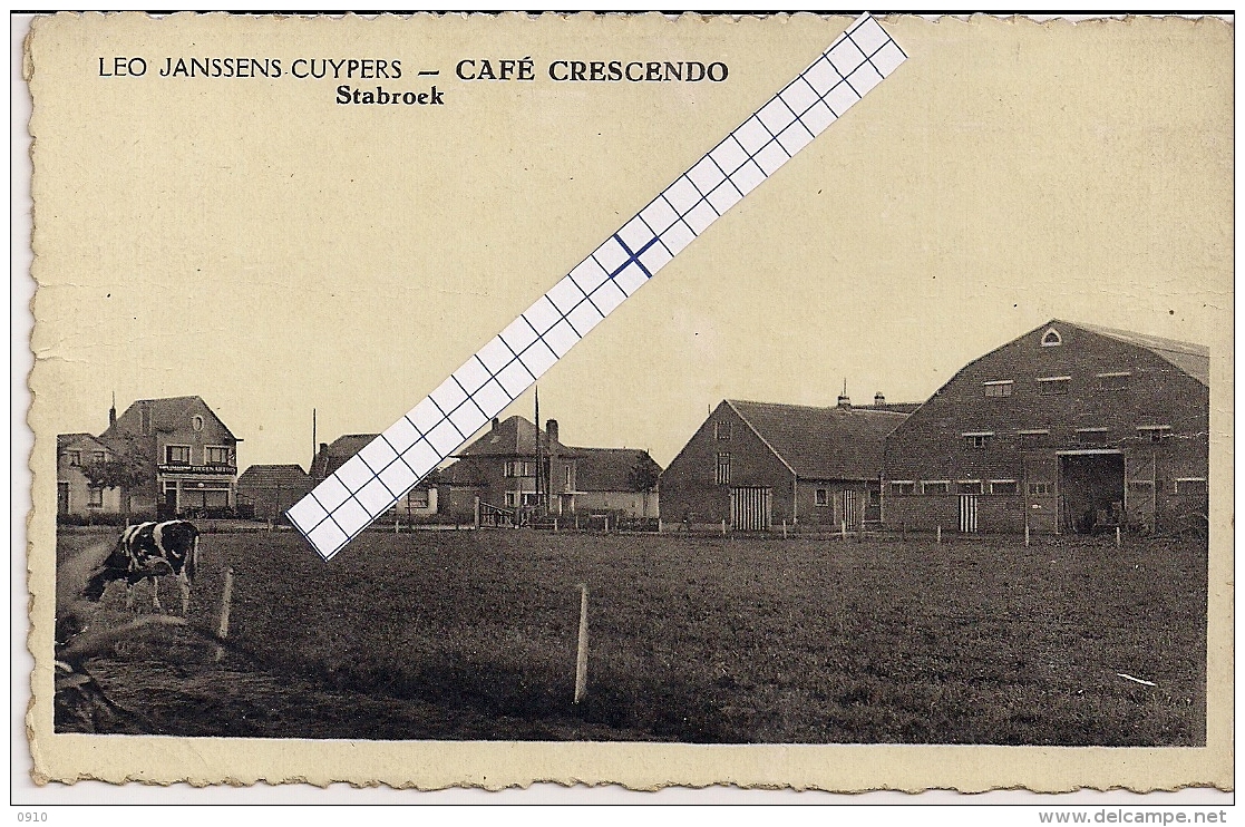 STABROECK-STABROEK "LEO JANSSENS CUYPERS-CAFE CRESCENDO" FOTO VAN HEESCH-DEURNE !!!! ZELDZAAM - Stabroek