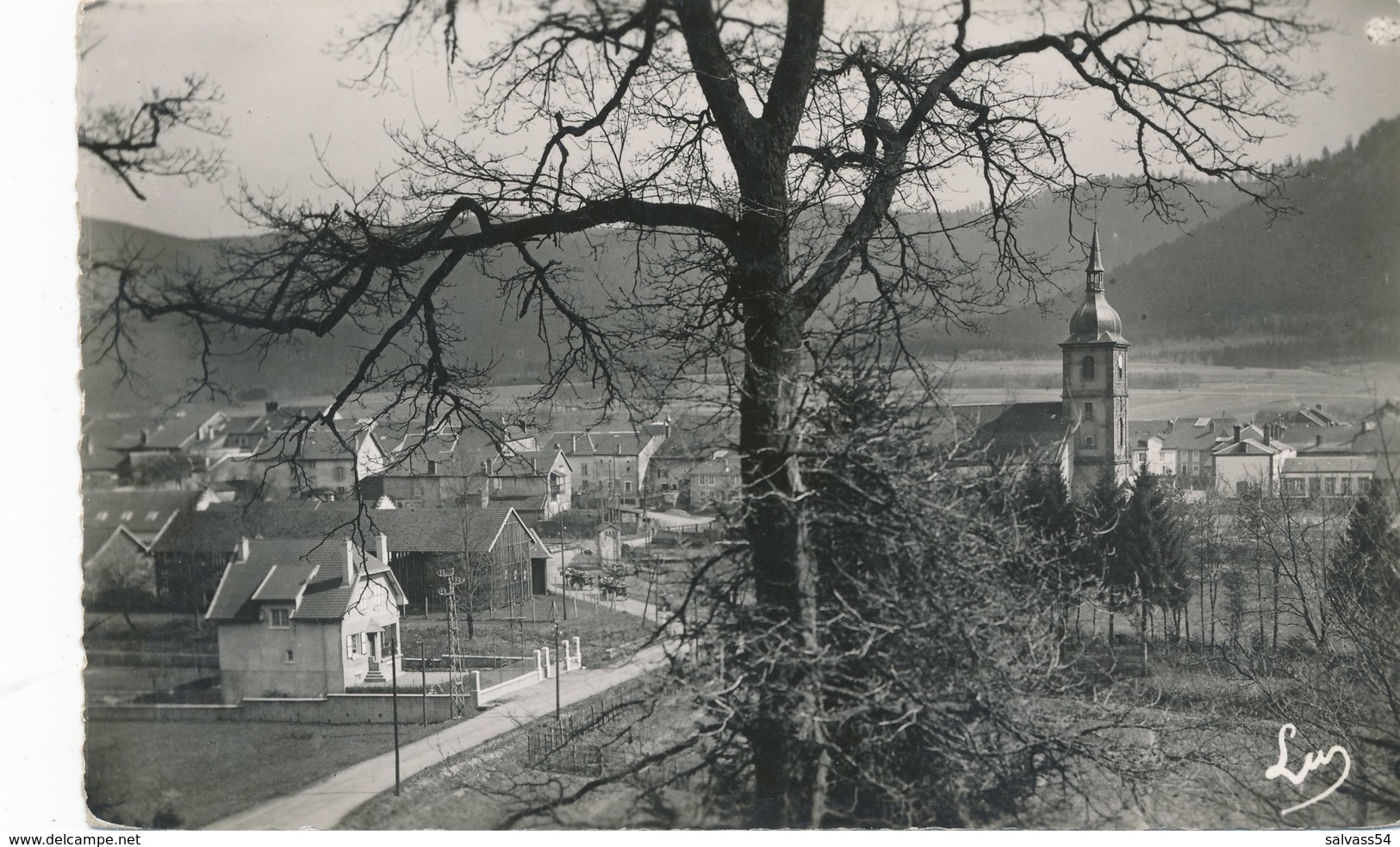 88) CELLES-SUR-PLAINE : Vue Partielle - Autres & Non Classés