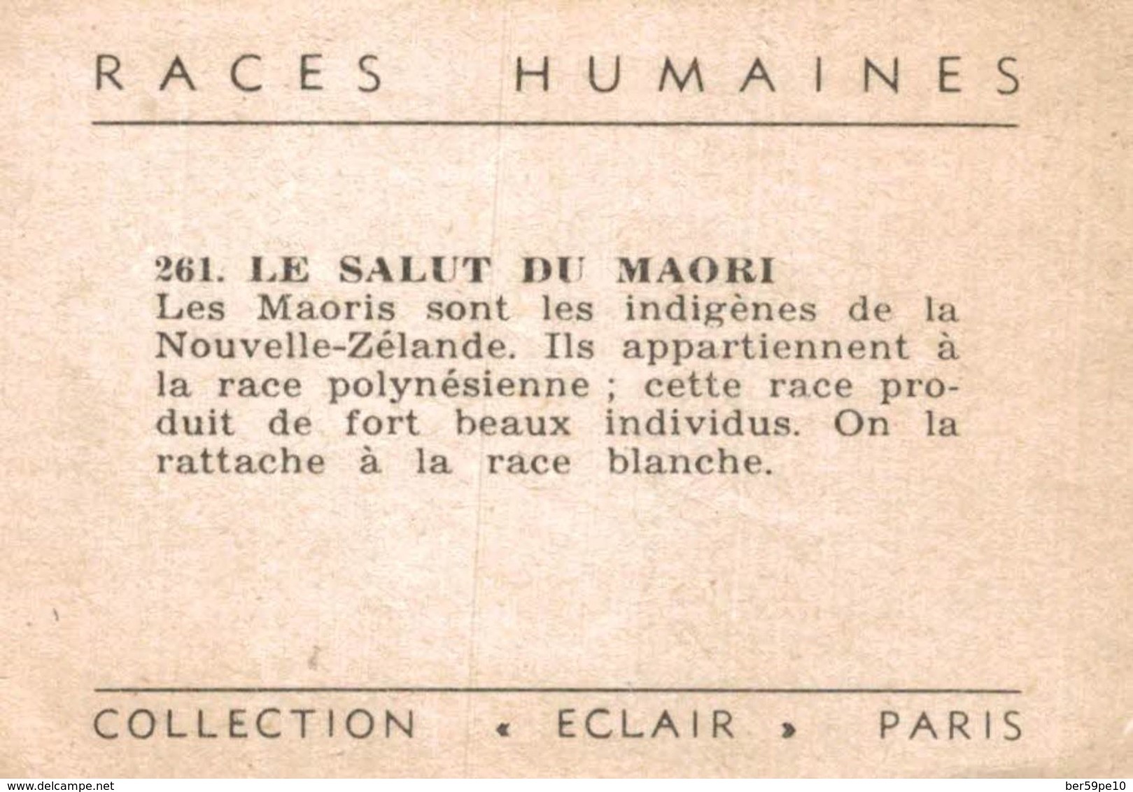 CHROMO ET IMAGE COLLECTION ECLAIR RACES HUMAINES N° 261 LE SALUT DU MAORI - Autres & Non Classés