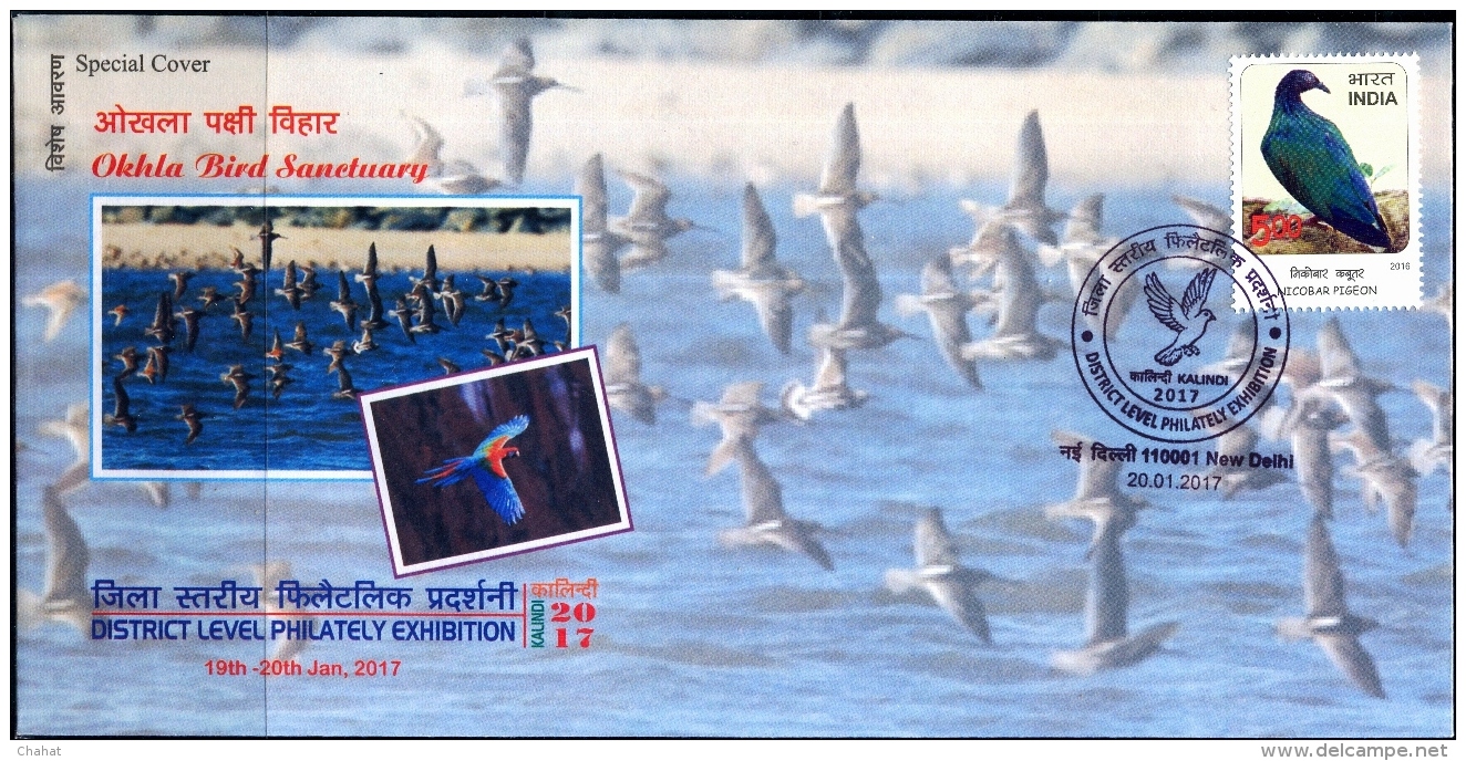 MIGRATORY BIRD SANCTUARY-OKHLA-INDIA-PICTORIAL CANCEL-SPECIAL COVER-INDIA-ABC-11 - Oblitérations & Flammes