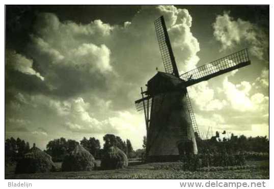 SINT-MARTENS-LEERNE Bij Deinze (O.Vl.) - Molen/moulin - Prachtige Opname Van De Verdwenen Stenen Molen Ca. 1930. TOP! - Deinze