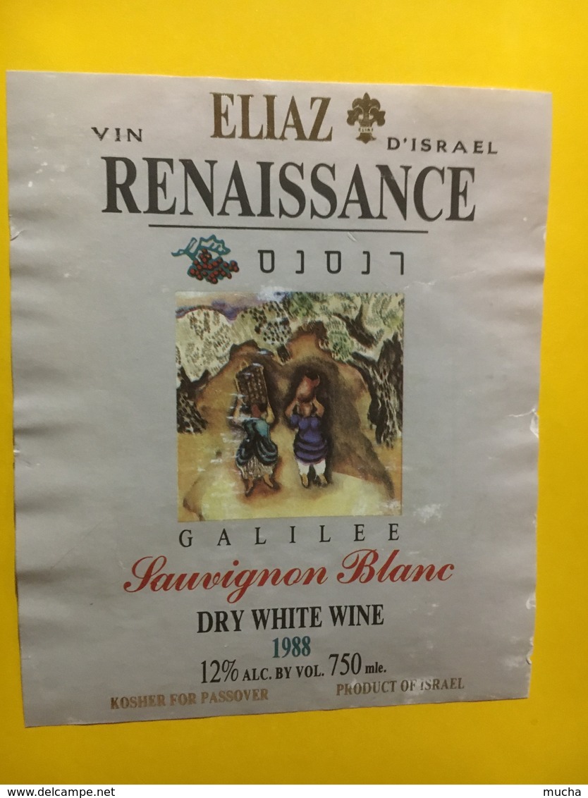 7960 - Renaissance 1988 Galilee Sauvignon Blanc Israel - Autres & Non Classés